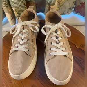 Womens sneakers by Steve Madden. Inv 5390d